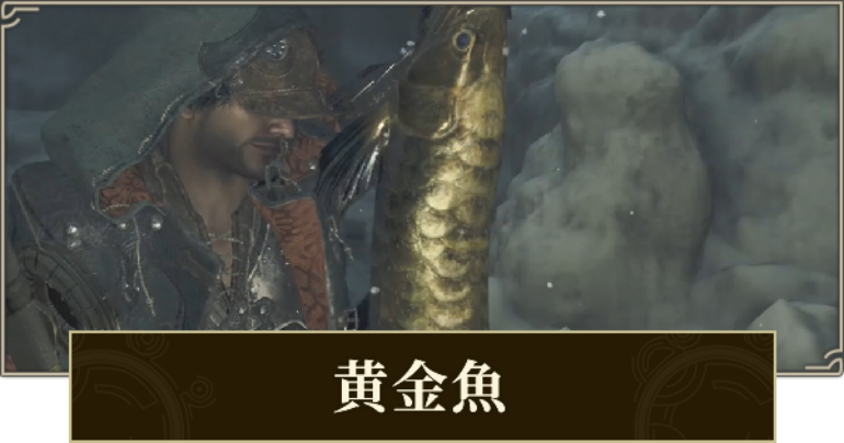 モンハンワイルズ黄金魚